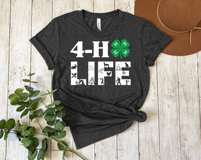 4-H