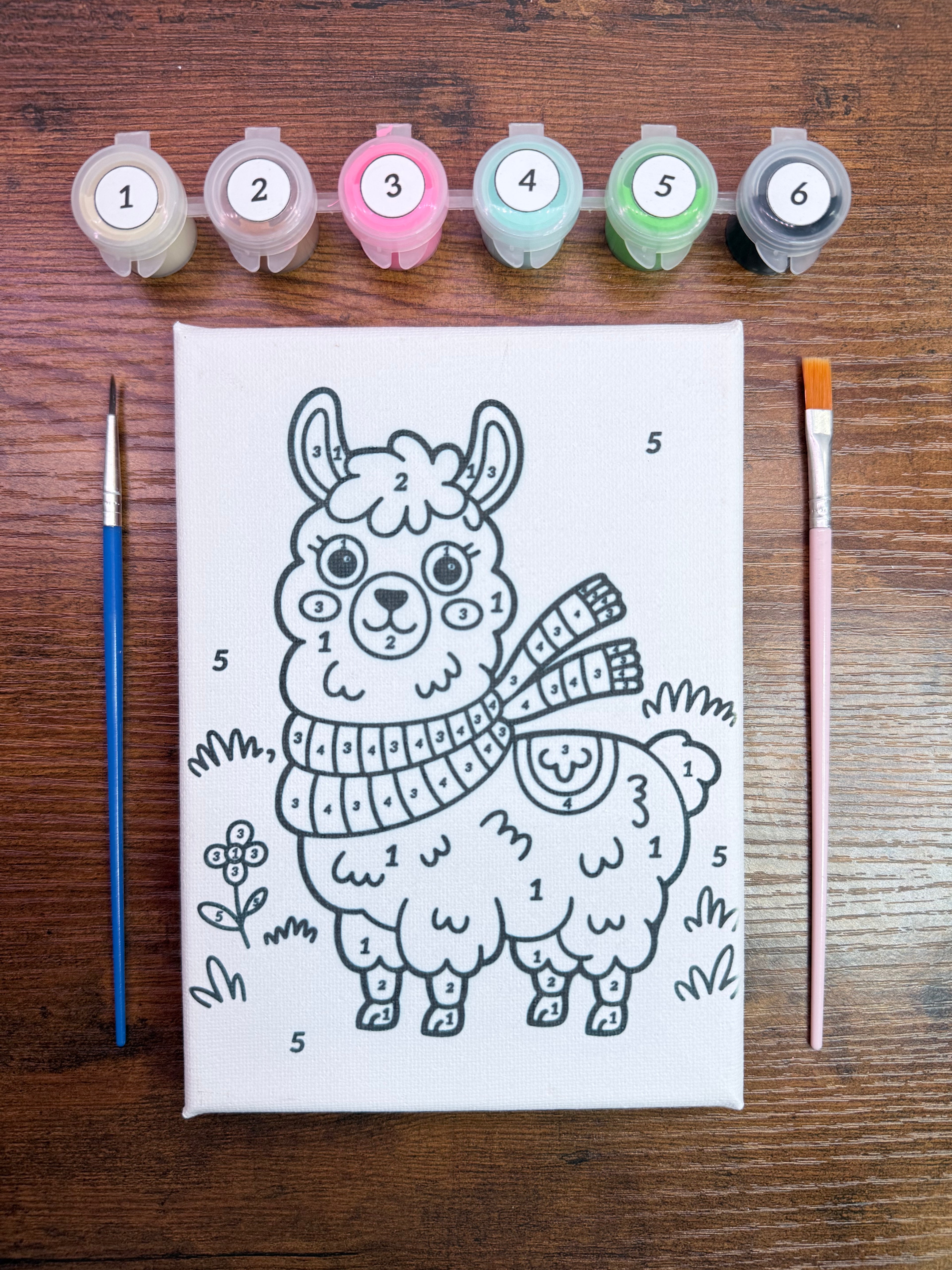 Llama Paint-By-Number Kit